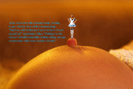 breasts collage shrunken_men shrunken_woman captions alice_in_wonderland