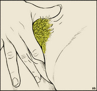 drawing karbo pussy vore blonde color pubic_hair anime lips shrunken_men