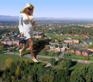 giantess collage city blonde clothed barefoot walking sunglasses sunny trees pamela_anderson