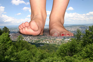 479.jpg