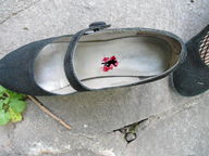 crush collage blood in_shoe shrunken_men