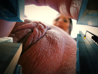 giantess nude pussy city mega black_hair looking_down skyscrapers sky point_of_view looking_at_viewer