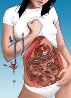 drawing giantess panties vore color hand stomach inside_view shrunken_character intestines