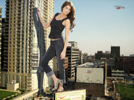 folders_1680_20121204_1382235078.jpg
