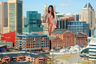 folders_1373_20121126_1715022248.jpg