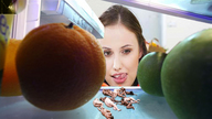 collage face hungry shrunken_people breakfast licking_lips imminent_vore refrigerator marcrtr