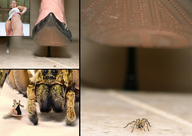 collage micro high_heels low_angle shrunken_woman point_of_view panels spider giantesscity