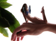 gentle collage nude wings butt fairy brunette on_hand