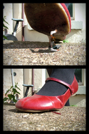 crush collage blood foot_crush shrunken_man entrapment outdoors under_shoe