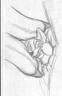 furry anthro monochrome finger anal anal_insertion cerberus pencil_drawing
