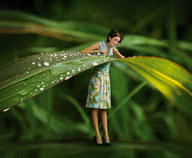 collage micro clothed shrunken_men shrunken_woman grass frances melhop
