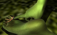 nude feet size_difference alien barefoot finger shrunken_woman garden palislama green_skin digital_render