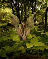 wings fairy shrunken_woman leaf nature