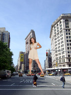 folders_1643_20121203_1538698776.jpg