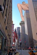 folders_1342_20121126_2050753432.jpg