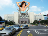 folders_1017_20121124_1099051676.jpg
