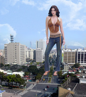 folders_899_20121124_1799356361.jpg