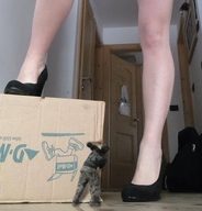 giantess collage small_men high_heels domination unknown_artist legs hiding