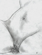 monochrome sitting belly pencil_drawing pussy_crush nikko