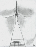 drawing giantess monochrome butt_crush nikko post_crush