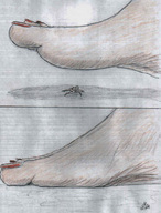 drawing giantess crush feet color nikko injured no_background violence