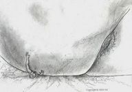 drawing giantess crush monochrome butt_crush nikko hairy_pussy arms_raised
