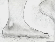 drawing crush monochrome barefoot nikko no_background