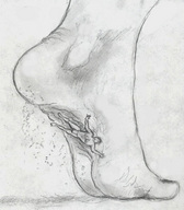 drawing giantess monochrome barefoot foot_crush nikko no_background