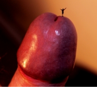 collage penis shrunken_man close_up arms_spread vonabend