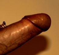collage giant penis shrunken_woman riding_cock huge_penis