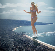 collage city mega blonde beach ocean buildings wonderslug wading amy_willerton