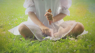 collage dress shrunken_men sitting shrunken_man outdoors field flowers