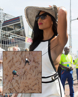 collage micro glasses unaware shrunken_woman outdoors sideboob armpits extreme_closeup