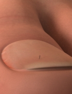 shrunken_men shrunken_man close_up toenail digital_render