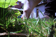 crush collage small_man barefoot soles jeans military foot_crush grass cruel soldiers bugunderherfeet callia yard calvin_silver