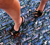 crush high_heels blood shrunken_men shrunken_woman shrunken_man under_foot downward_angle digital_render flagg3d