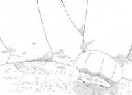 drawing mega monochrome destruction
