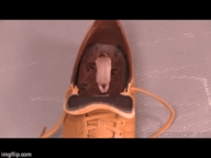 blonde long_hair barefoot in_shoe shrunken_men foot_crush animation shrunken_man standing