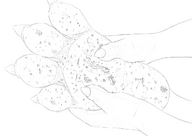 drawing mega monochrome toes barefoot soles dinosaur unknown_artist foot_crush source_needed stuck_to_foot debris kaiju