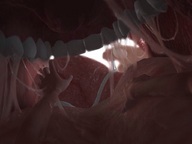 vore tongue teeth saliva inside_view point_of_view mouth_view digital_render saftkeur