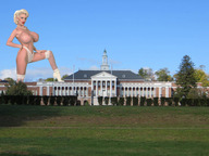 breasts giantess collage panties mega blonde large_breasts high_heels stockings topless sky looking_at_viewer hands_on_hips lawn shrubs ser-gts pearl_necklace sarenna_lee