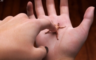 finger domination hand palm shrunken_man handled poking digital_render jamesmason0