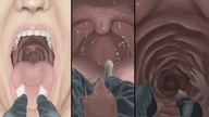 drawing vore color tongue mouth swallowed inside_view point_of_view