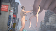 36.jpg