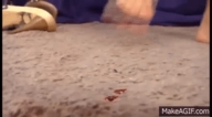 micro barefoot high_heels foot_crush animation running carpet shrunken_person pedicure
