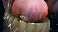 vore tongue mouth teeth saliva shrunken_woman point_of_view emi digital_render