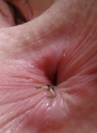 collage pussy butt anal unknown_artist anal_insertion shrunken_man point_of_view qwertylolz