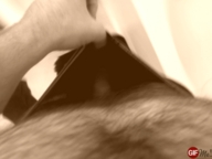 male penis animation hairy point_of_view boxers shoved_into_pants