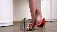 collage feet barefoot high_heels soles domination shrunken_man cage captured floor msku