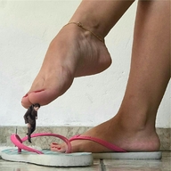 collage feet toes barefoot domination shrunken_man dangle pedicure flip_flops ankle_bracelet